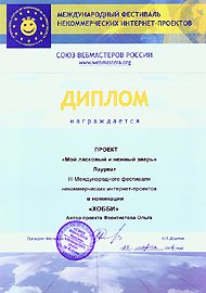 Диплом Союза вебмастеров России Феоктистовой Ольги